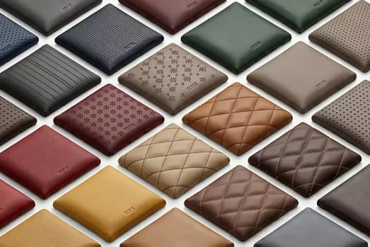 Кожа из Европы
